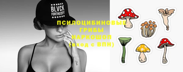 прущие крисы Алзамай