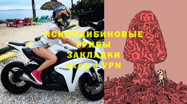 не бодяженный Алексин