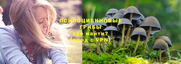 прущие крисы Алзамай