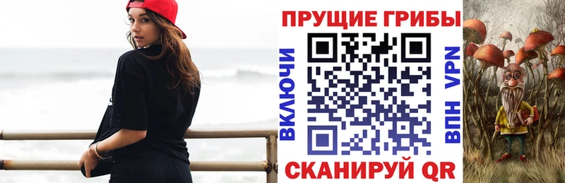 Псилоцибиновые грибы GOLDEN TEACHER  Ардатов 
